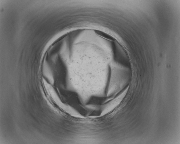 X0000081461536200702021755