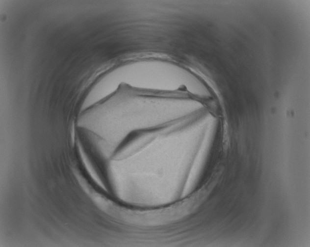 X0000081460013200702092326