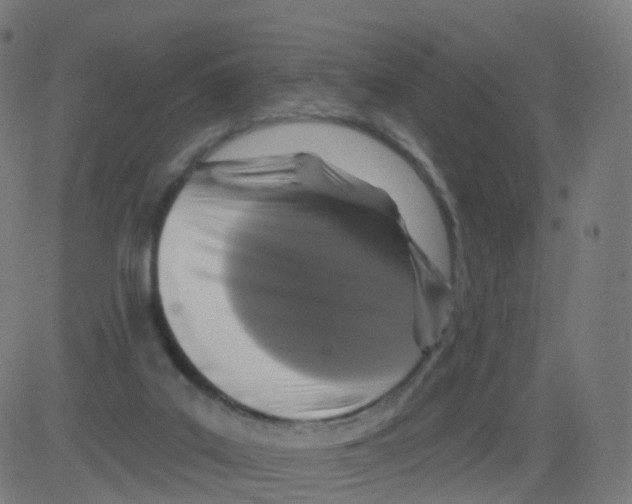 X0000081460019200702092326
