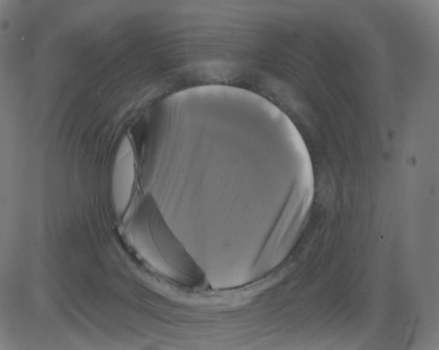 X0000081460027200702092326