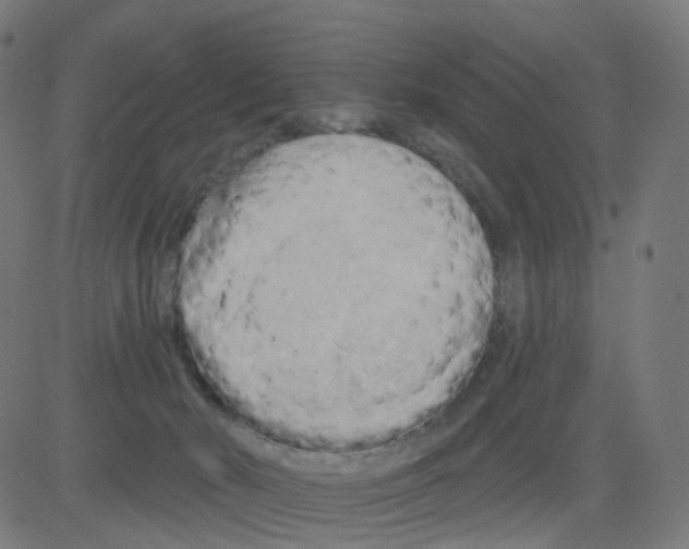 X0000081460030200702092326