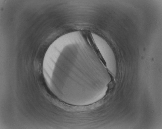 X0000081460031200702092326