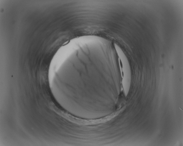 X0000081460035200702092326