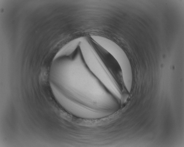 X0000081460037200702092326