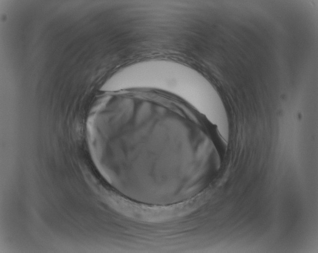 X0000081460039200702092326