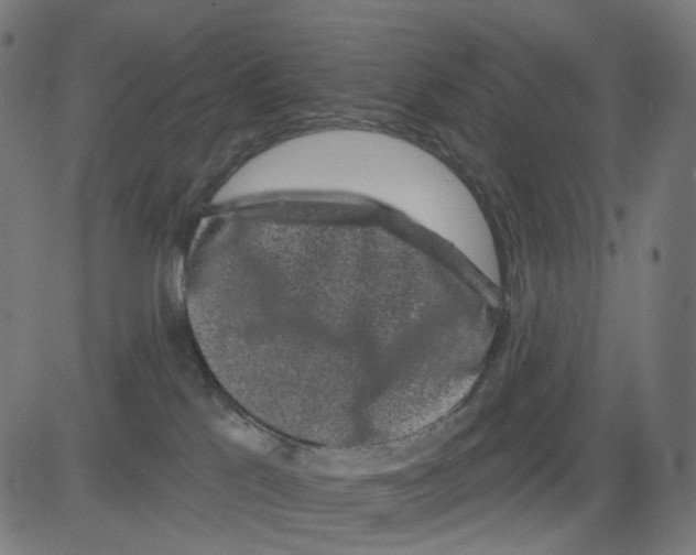X0000081460041200702092326