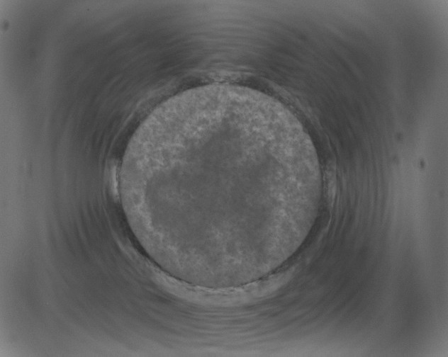 X0000081460042200702092326