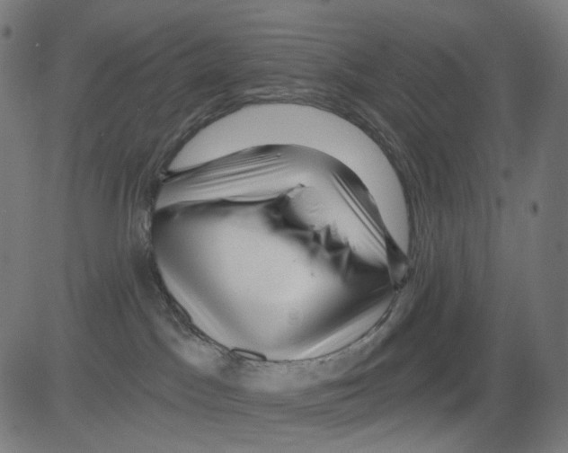 X0000081460045200702092326