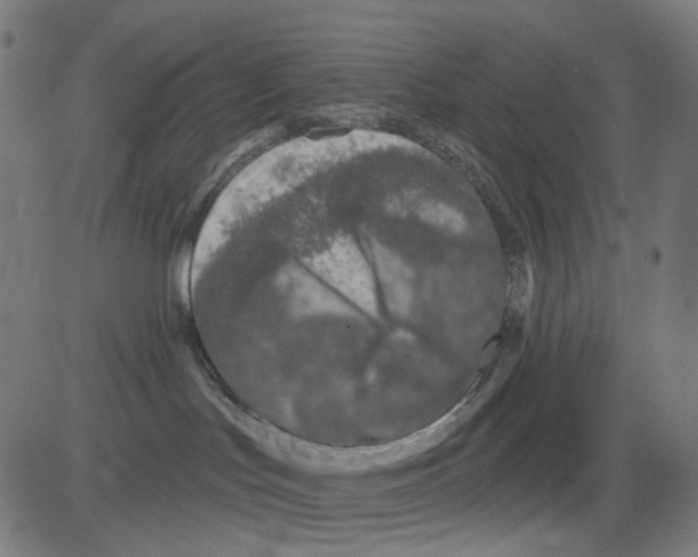 X0000081460047200702092326