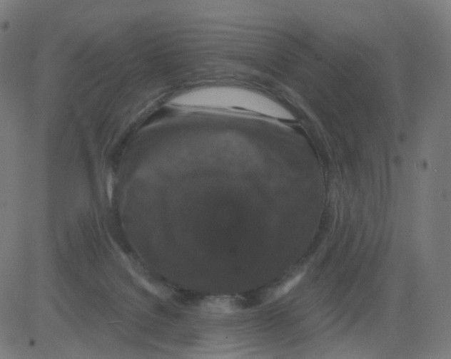 X0000081460076200702092325