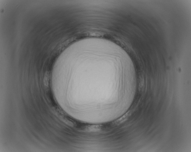 X0000081460078200702092325
