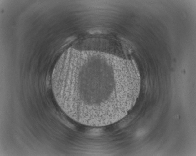 X0000081460081200702092325