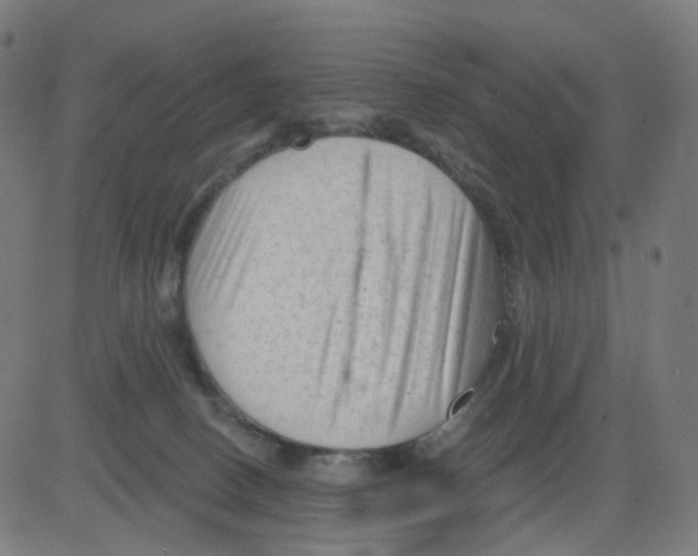 X0000081460082200702092325
