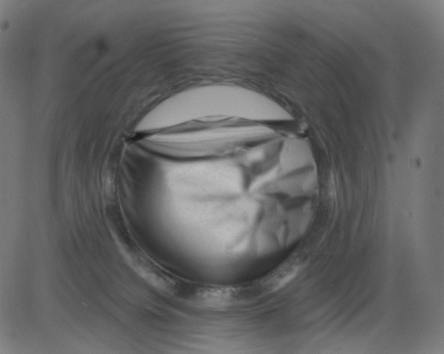 X0000081460084200702092325