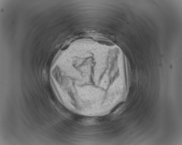 X0000081460086200702092325