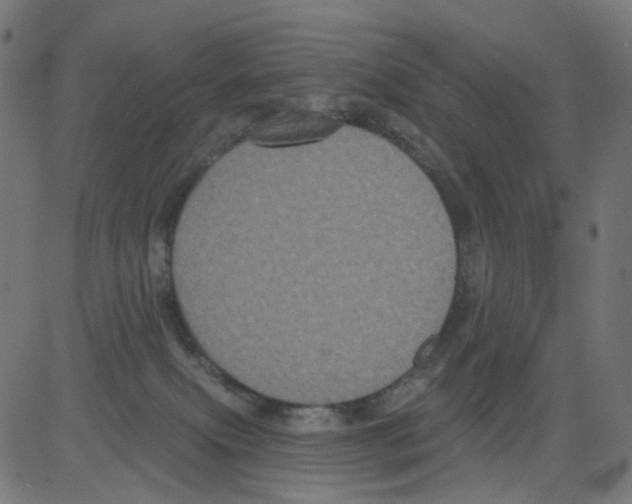 X0000081460087200702092325