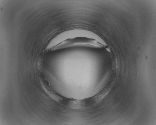 X0000081460092200702092326
