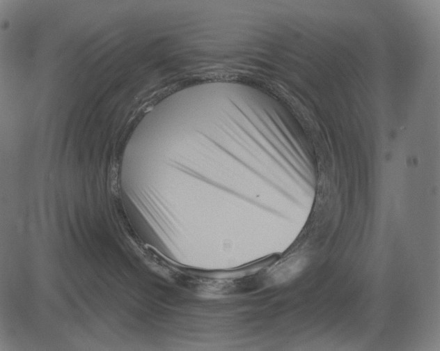 X0000081460096200702092326