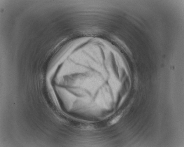X0000081460113200702092325