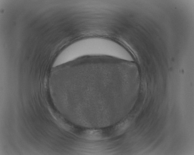 X0000081460117200702092324