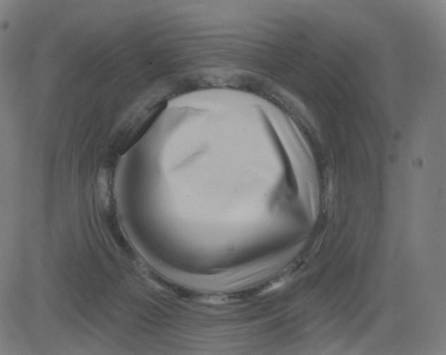 X0000081460121200702092324
