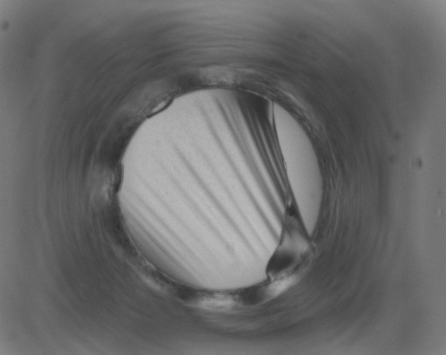 X0000081460125200702092324