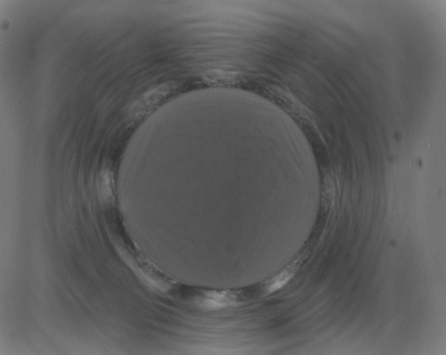 X0000081460130200702092324