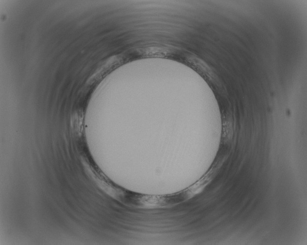 X0000081460142200702092324