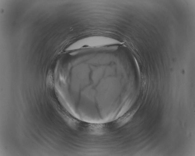 X0000081460143200702092324
