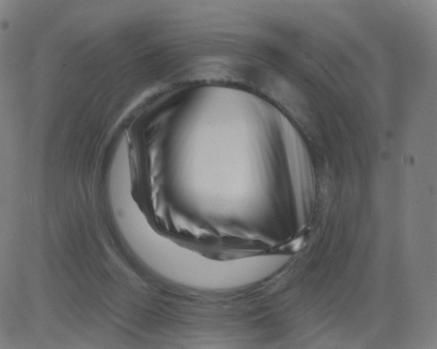 X0000081460160200702092324