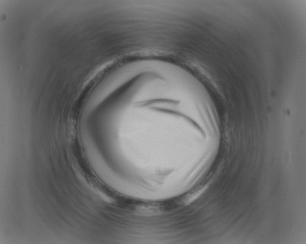 X0000081460164200702092324