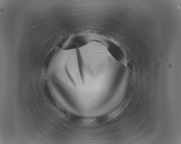 X0000081460172200702092324