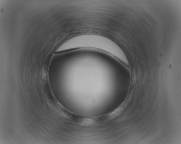 X0000081460176200702092324