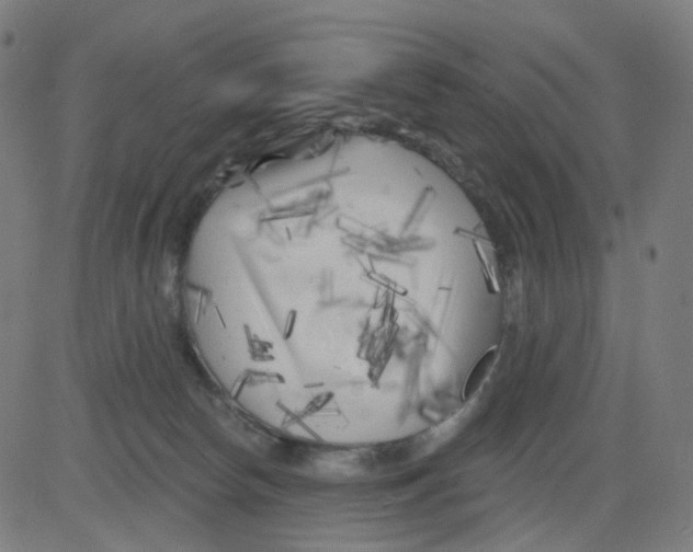 X0000081460178200702092324