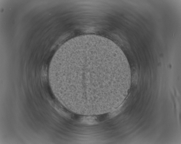 X0000081460179200702092324