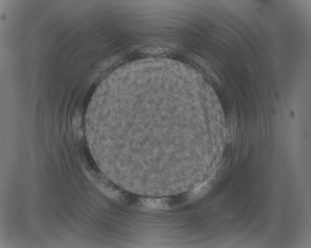 X0000081460187200702092324