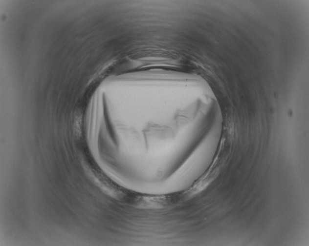 X0000081460188200702092324