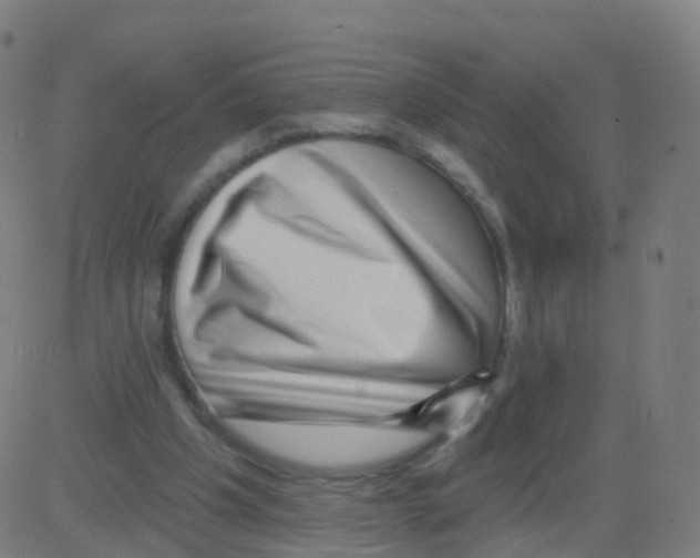 X0000081460201200702092323