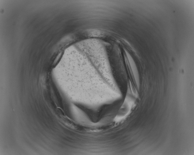 X0000081460217200702092323