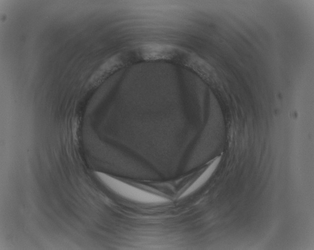 X0000081460219200702092323