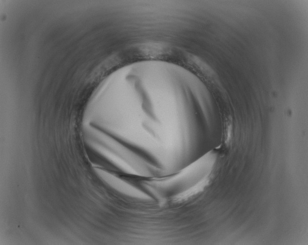 X0000081460221200702092323