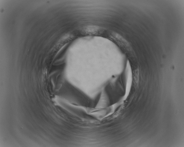 X0000081460225200702092323