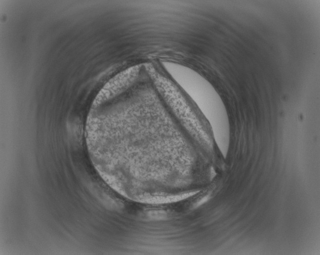 X0000081460228200702092323