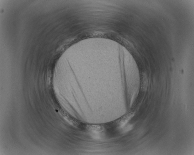 X0000081460230200702092323