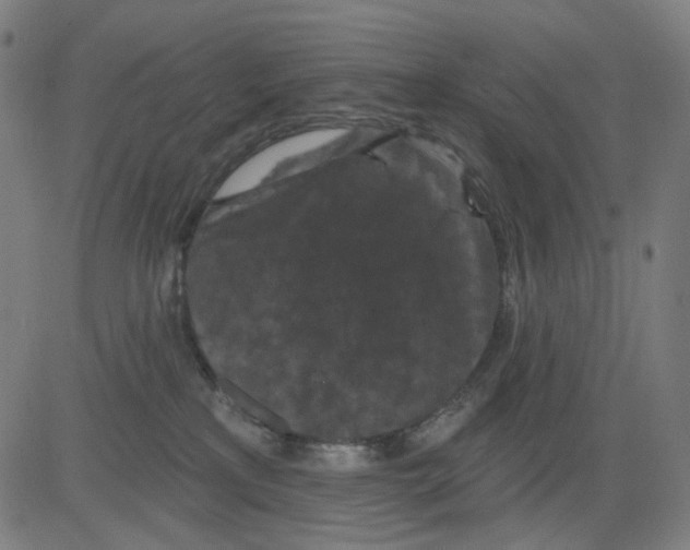 X0000081460233200702092323