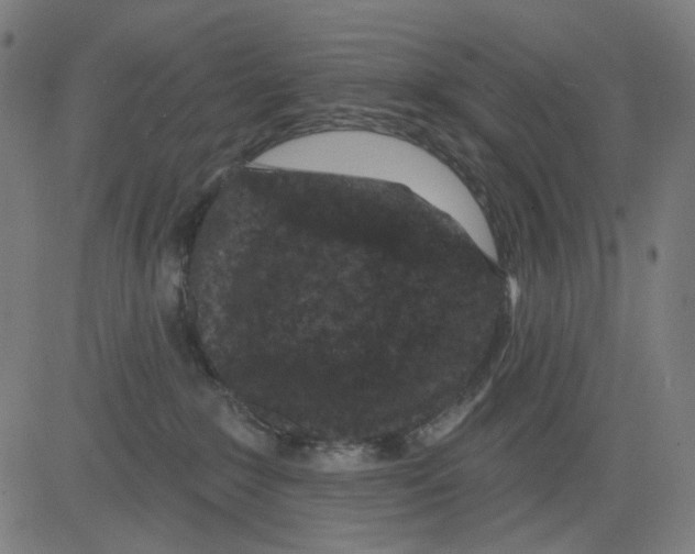 X0000081460235200702092323