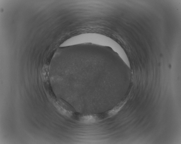 X0000081460237200702092323