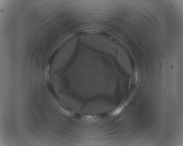X0000081460239200702092322