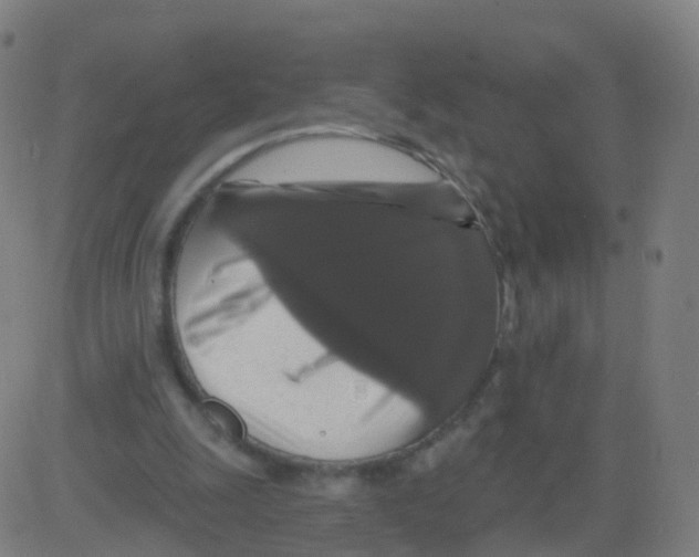 X0000081460247200702092322