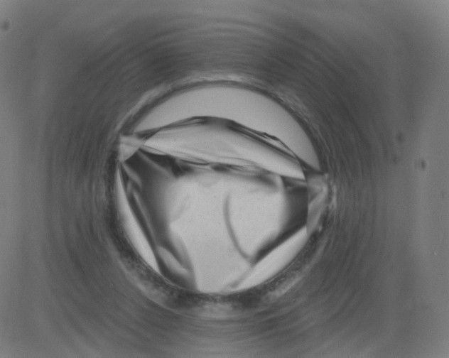 X0000081460256200702092322